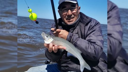 bagres-de-mar-y-pejerreyes-aguas-adentro-de-cerro-de-la-gloria