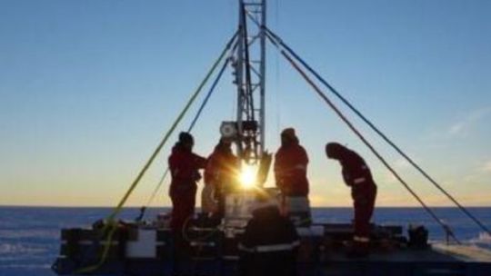encuentran-criaturas-con-forma-de-langostas-bajo-el-hielo-de-la-antartida