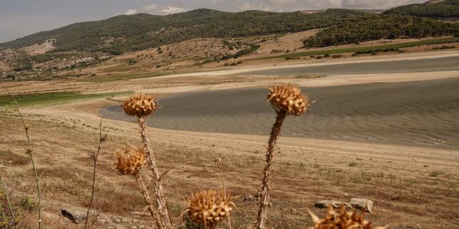 «-bienvenue-dans-le-prochain-desert-en-europe-»-:-la-sicile-assaillie-par-les-fleaux-climatiques