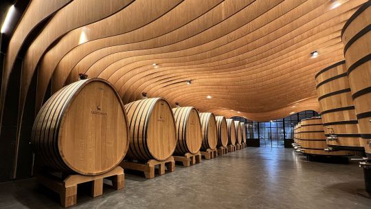 en-castilla-y-leon-su-ruta-del-vino-es-un-viaje-cultural-lleno-de-historia