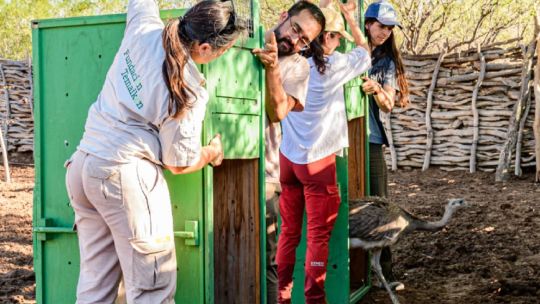varias-aves-y-mamiferos-regresaron-a-su-habitat-natural-en-el-norte-de-san-luis