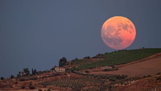 ¿que-dia-y-a-que-hora-podra-verse-la-luna-de-la-cosecha-2025-en-la-argentina?