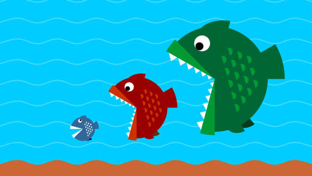 restablecimiento-de-fusiones-y-adquisiciones-en-america-latina:-menos-acuerdos,-mayores-apuestas-en-el-tercer-trimestre-de-2025