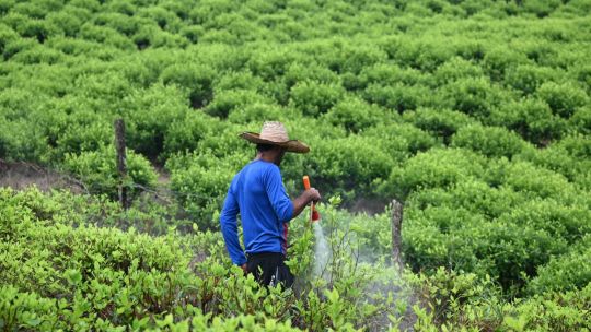 los-ataques-estadounidenses-no-logran-detener-el-trafico-de-drogas-en-colombia:-una-explicacion
