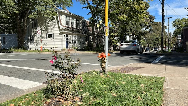 halifax-sees-major-jump-in-road-deaths-in-2025