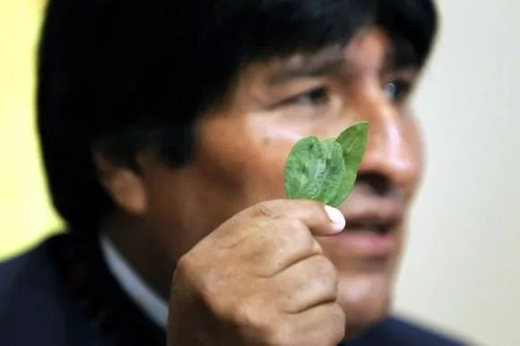 evismo-pide-referendo-para-consultar-por-el-retorno-de-la-dea