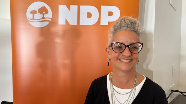 pei.-ndp-president-to-take-on-leader-duties-until-february-convention