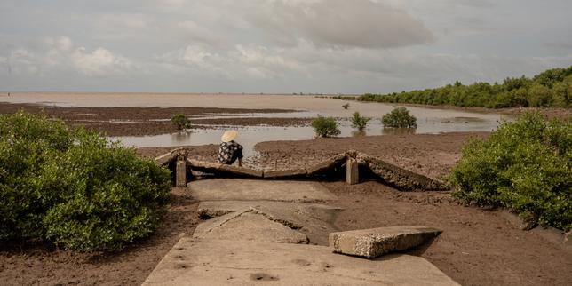 l’eau-monte,-le-sol-s’affaisse:-le-delta-du-mekong,-grenier-a-riz-du-vietnam,-face-a-una-doble-«amenaza-existencial»