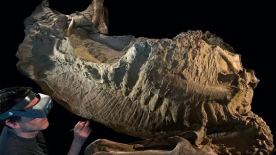 encuentran-en-eeuu.-las-momias-de-dinosaurios-mejor-conservadas-del-mundo