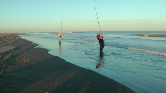 las-corvinas-se-llevaran-todas-las-miradas-en-reta
