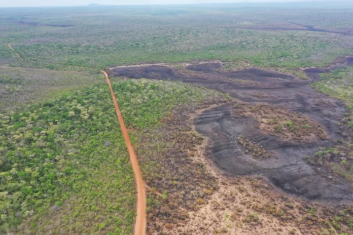 en-santa-cruz-no-registran-incendios-forestales-activos