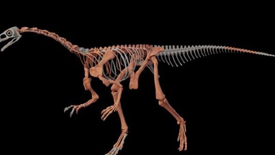 encuentran-a-uno-de-los-dinosaurios-mas-antiguos-del-mundo-en-la-precordillera-riojana
