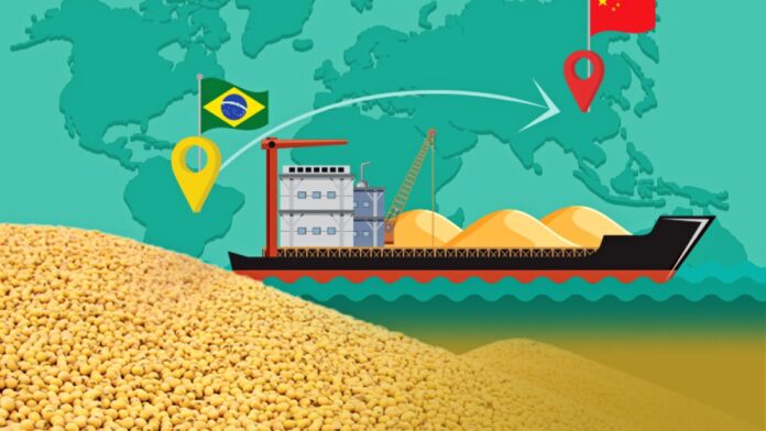 el-comercio-con-china-compensa-las-perdidas-de-exportaciones-de-brasil-a-estados-unidos