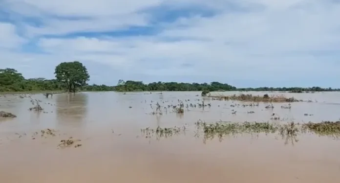 riada-en-yapacani-dana-a-mas-de-60-comunidades-productoras