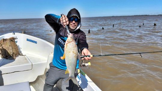 bogas-en-los-malecones:-una-temporada-que-se-activa-entre-viento,-mareas-y-variedad