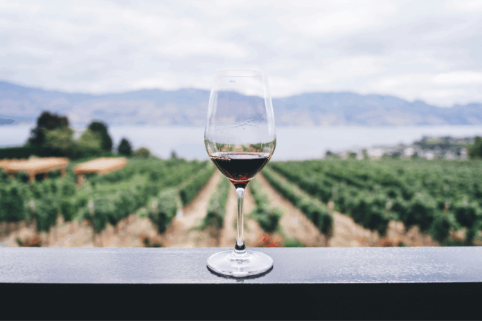 argentina’s-wine-market-is-slumping.-can-deregulation-help?