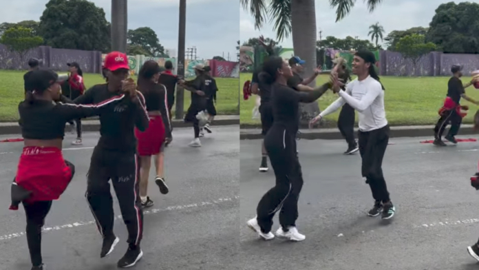 ensayo-del-‘salsodromo’-en-cali-termino-en-emergencia-por-ataque-de-abejas