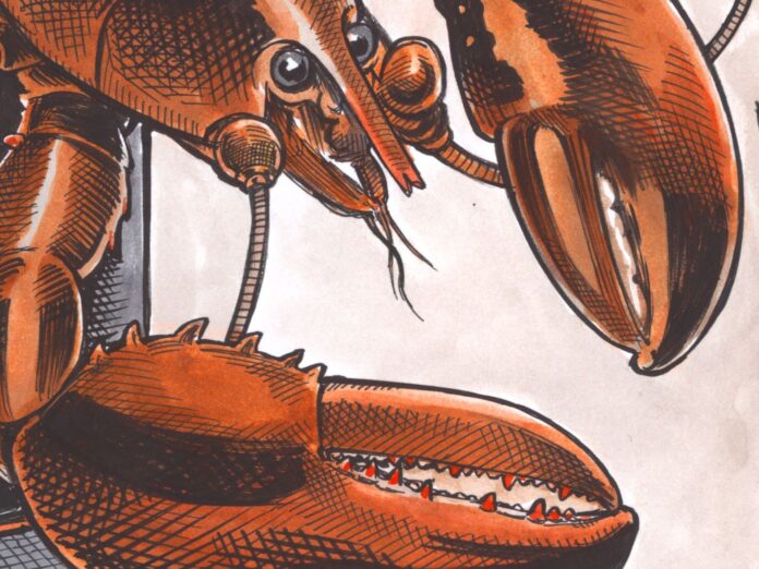 bruce-mackinnon:-lobster-sales-going-off-the-boil?