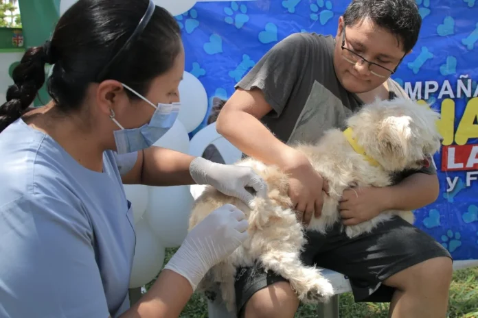 santa-cruz:-campana-antirrabica-busca-inmunizar-a-723.000-mascotas
