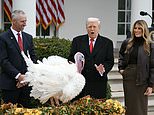 trump-most-popular-politician-to-have-at-thanksgiving-table…-but-the-runner-up-will-infuriate-the-president
