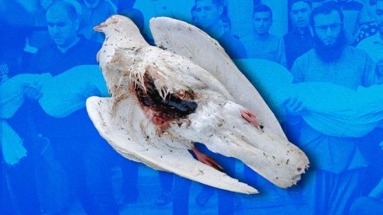 el-mundo-se-esta-convirtiendo-en-un-lugar-mas-peligroso.