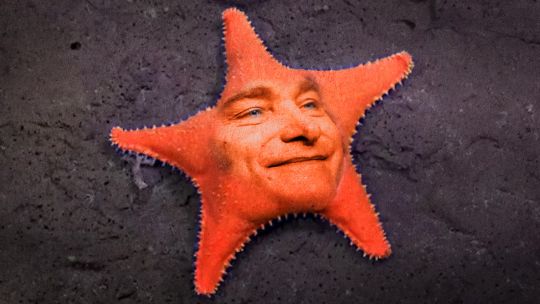 javier-milei-superestrella