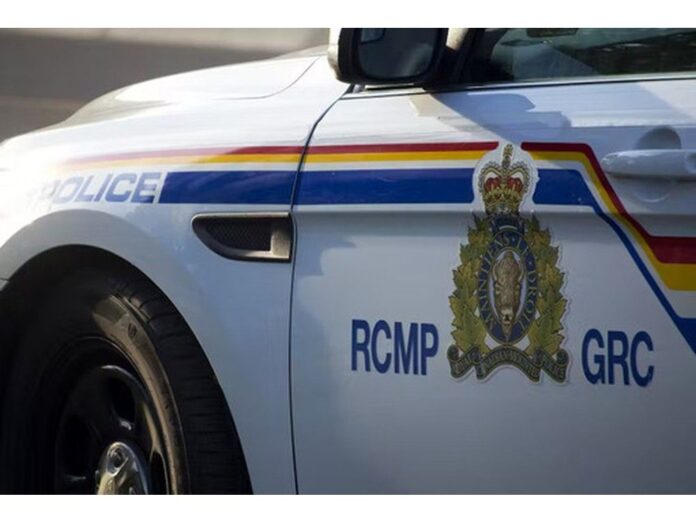 rcmp-responds-to-moose-vehicle-collision-in-terra-nova-national-park,-prohibited-driver-charged