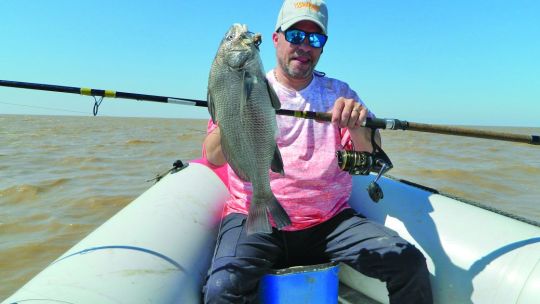 las-corvinas-negras-mas-cerca-que-nunca-en-tu-weekend-de-noviembre!!