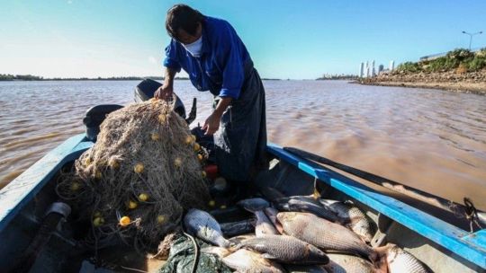 una-medida-historica:-santa-fe-suspende-por-un-ano-las-licencias-de-pesca-comercial