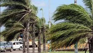 alerta-naranja-en-santa-cruz-por-vientos-de-hasta-90-km/h-azotaran