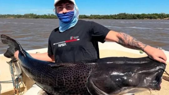 en-concordia-pescaron-un-surubi-negro-de-45-kg