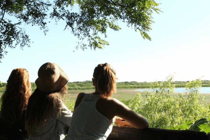 herald-favorites:-best-ways-to-pretend-you’re-not-in-the-city-(without-leaving-buenos-aires)