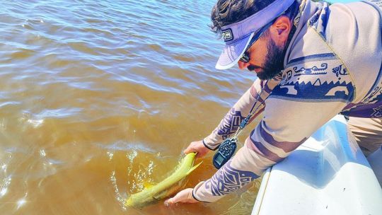 dorados-de-calidad-en-el-parana-medio:-esquina-no-defrauda 