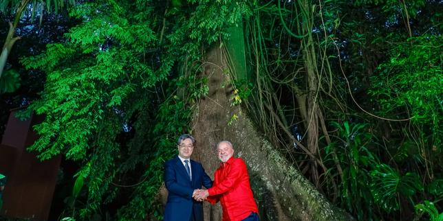 cop30:-china-apoya-la-accion-climatica,-por-el-interes-economico-anterior-a-todo