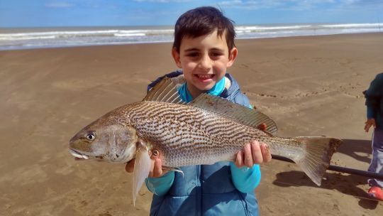 corvinas,-variada-y-la-chance-de-un-premio-millonario-en-las-playas-del-sur-bonaerense