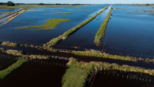 fuertes-lluvias-y-obras-paralizadas-dejan-bajo-el-agua-la-pampa-argentina