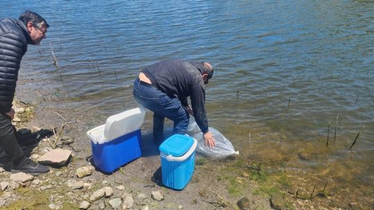 buenos-aires-y-cordoba-impulsan-la-pesca-deportiva-en-el-pais