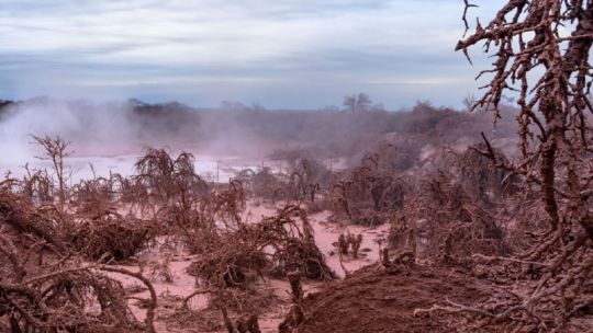 afirman-que-hay-mas-de-20-hectareas-contaminadas-en-un-bosque-salteno