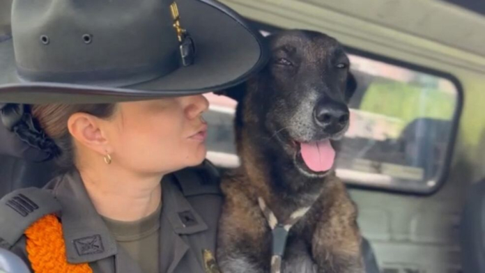 salvan-a-un-perrito-con-senales-de-maltrato-en-el-oriente-de-cali:-no-podia-caminar;-la-policia-lo-bautizo-con-el-nombre-de-fiel-y-esta-es-su-historia