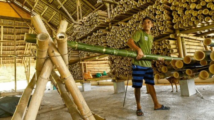 como-el-bambu,-usado-durante-milenios-en-suramerica,-esta-revolucionando-la-construccion-antisismica