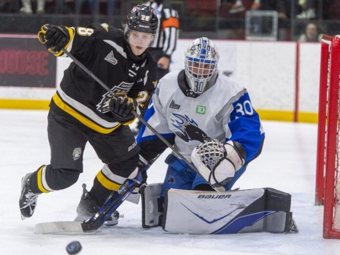 qmjhl:-cape-breton-eagles-complete-weekend-sweep-over-saint-john-sea-dogs