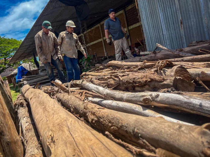 abt-entrega-mas-de-700-postes-para-defensivos-en-rios-crucenos