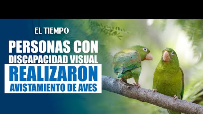 descubre-como-personas-con-discapacidad-visual-disfrutan-del-avistamiento-de-aves-en-cali