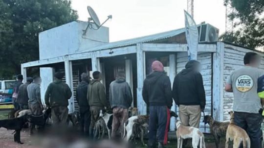 detienen-a-una-banda-de-cazadores-furtivos-con-galgos-en-un-campo-de-pila