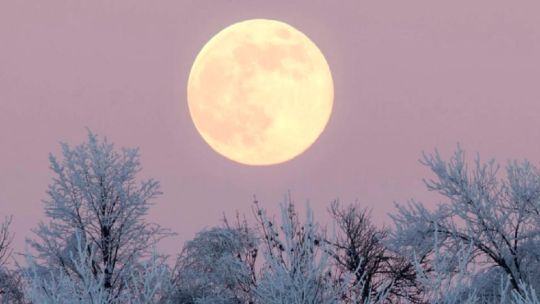 ¿cuando-y-como-ver-la-luna-fria-2025-desde-la-argentina?