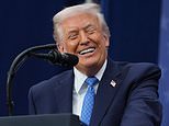 trump-approves-tiny-cars:-‘they’re-really-cute’