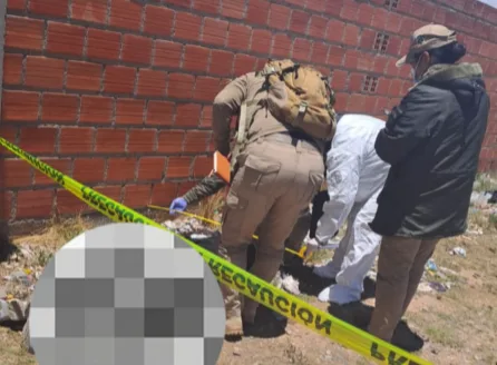 el-alto:-aprehenden-a-sujeto-por-el-feminicidio-de-su-exesposa