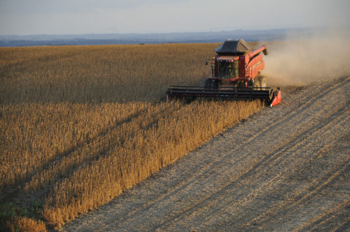 argentina-announces-fresh-cut-to-grains-export-duties