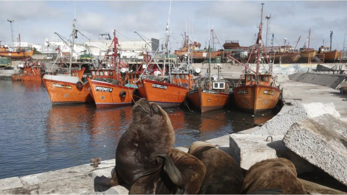 mar-del-plata-endurece-sanciones-por-derrames-de-camiones-pesqueros-dentro-del-puerto
