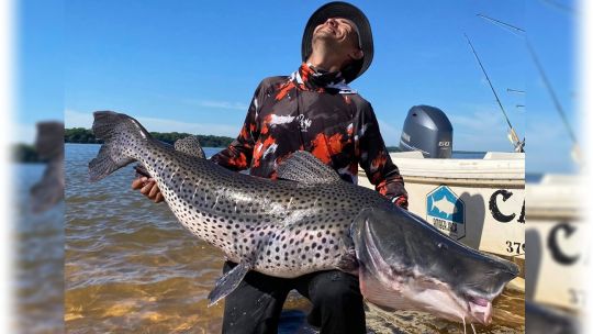 un-gigante-pintado-para-el-recuerdo:-la-pesca-que-todo-aficionado-suena